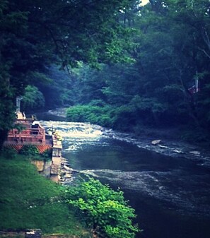 View from back deck