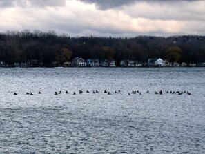 Pebble Beach - View of Lake Conesus 