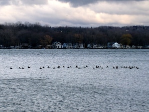 Pebble Beach - View of Lake Conesus