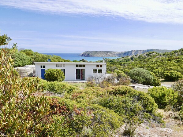 50 acres of privacy and wilderness