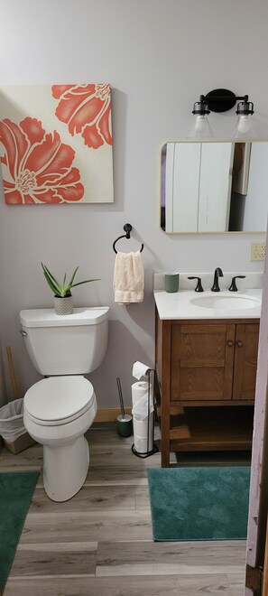 Newly renovated first floor full bathroom is off the living room.