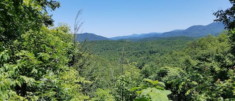 View from the deck 6.10.16