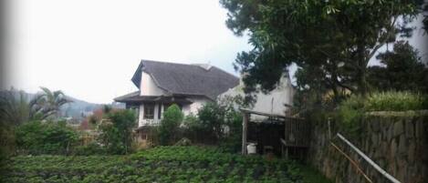 A Peaceful Villa in the Mountain Bandung