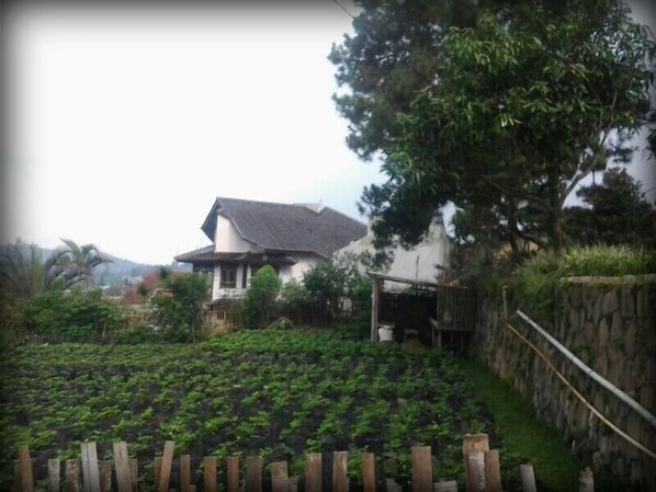 A Peaceful Villa in the Mountain Bandung