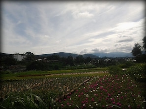 A Peaceful Villa in the Mountain Bandung