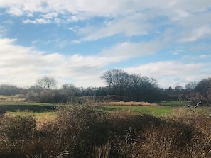 View from the Deck