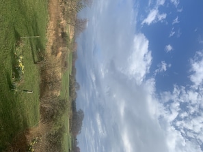 View from the back deck
