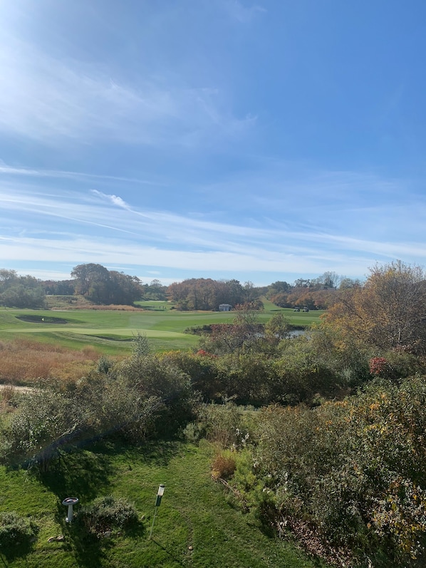 View from the deck
