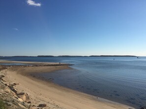 Small semi-private beach w/ jetty at end of street (40yd), great for kids