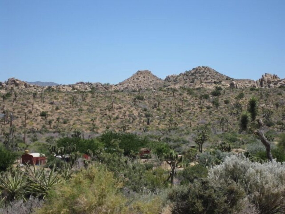 Main Image