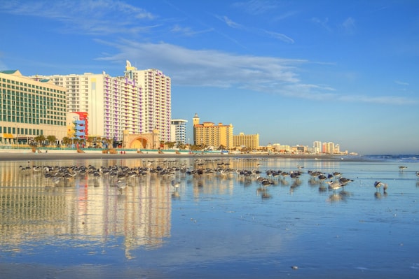Strand