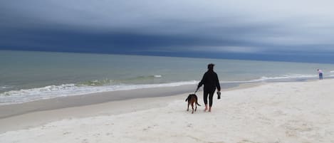 Playa