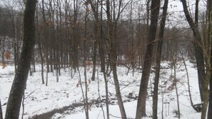 scene from the back deck
