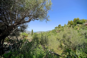 View towards the Port of Soller 