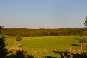 La vue à l'arrière du gîte