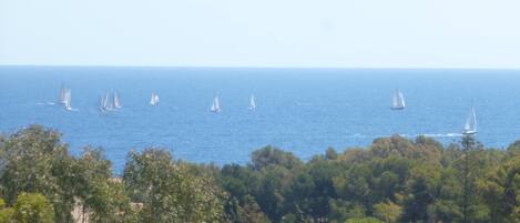 View from front balcony. 