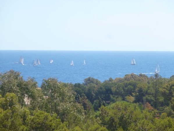 View from front balcony. 