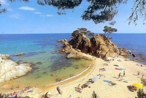 Local beach