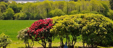 Jardines del alojamiento