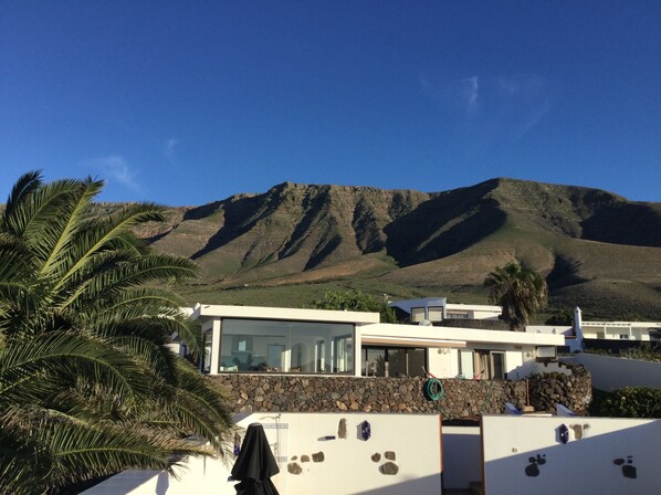 The house from the pool