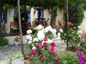 Orchard Villa courtyard patio across the roses in spring