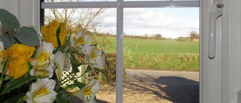 Countryside view from Kitchen window