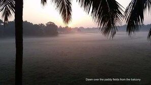 Dawn over the paddy fields from the balcony