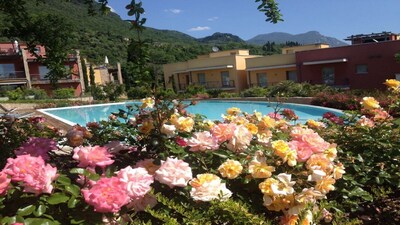 schöne moderne Gartenwohnung mit Seeblick, Überlaufpool gratis WIFI