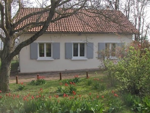 Garden, Park