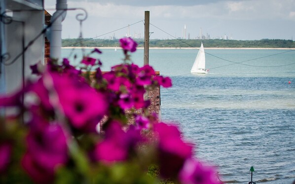 Coastal cottage 50m from the sea front