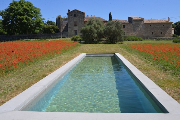 Grande piscine exclusivement pour vous