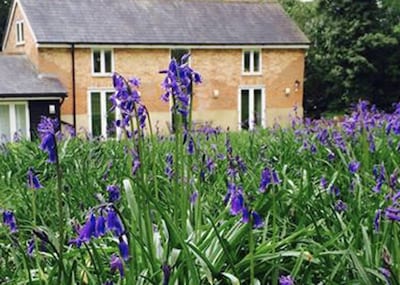 Grooms Cottage - Countryside Cottage near one of the top restaurants in Kent!