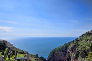 Vista desde la propiedad