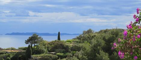 1 - Vue de la terrasse sur Porquerolles