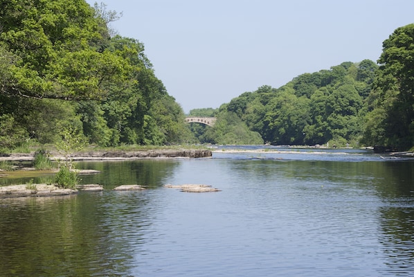 3 Lodges on the edge of the river Tees