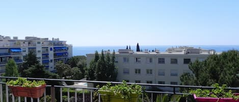 Vue de la terrasse