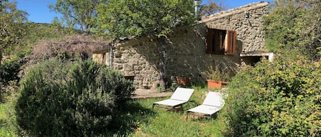 The House of the Almond Tree (4 guests)