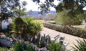 Drive and garden from border