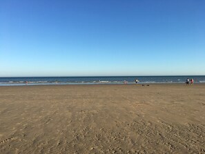 Picture taken by the owner on the beach.
