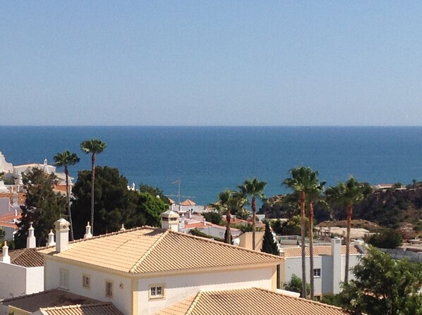 Beach/ocean view
