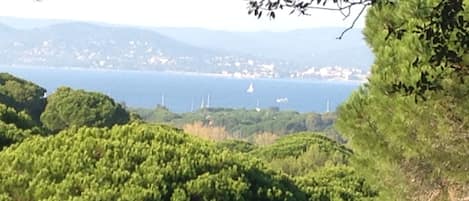 La vue depuis la terrasse