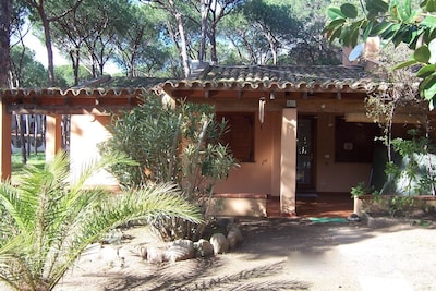 Villa für 6 Personen in La Pineta nur 200 Meter vom Strand entfernt