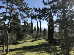 Boendeområde