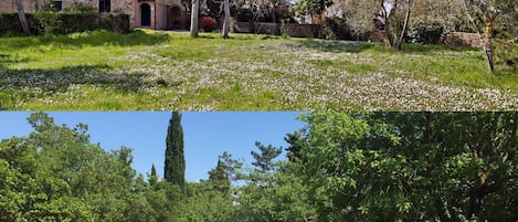 The cottage and pool