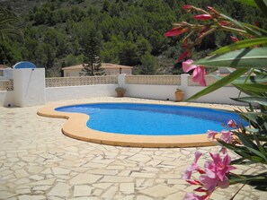 large 5m x 10m kidney shaped pool 