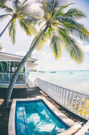 The deck and plunge pool