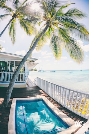 The deck and plunge pool