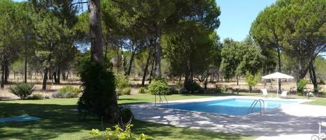 the lawn around the pool surrounded by pine trees
