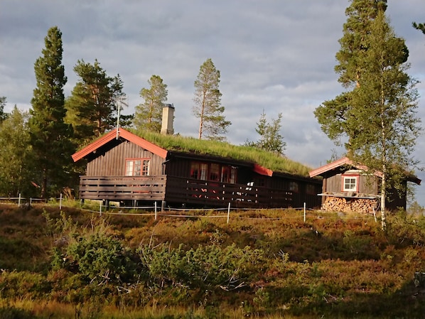 Exteriör
