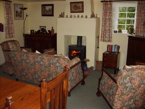 Log Burner and Fireplace